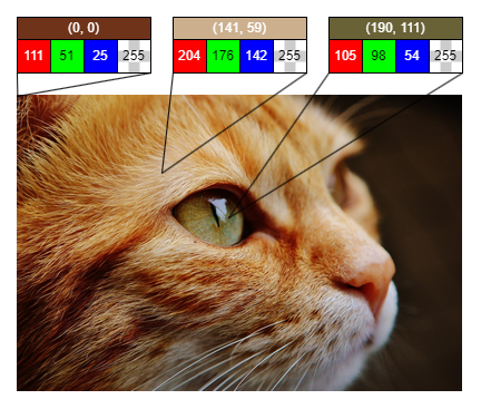 RGBA information from an image